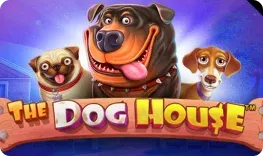 Lilu – The Dog House